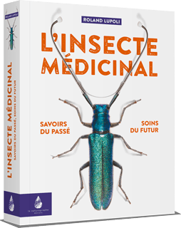 Photo de couverture de la poire Sarteau