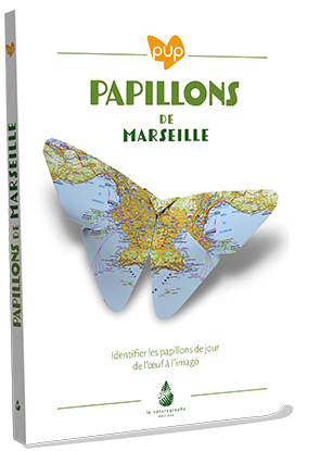 Photo de couverture du Papillons de Marseille